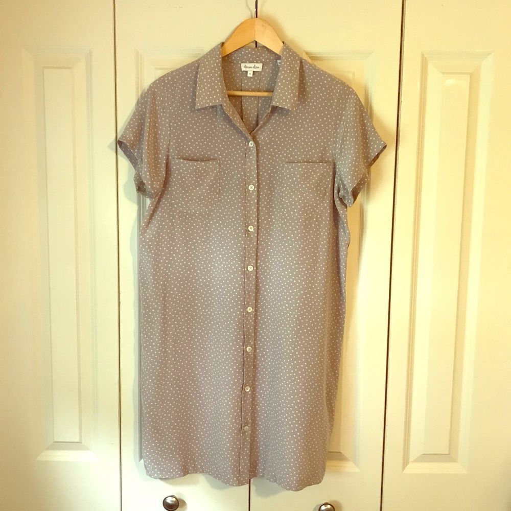 Steven Alan- Short Sleeve Silk Shirt Dress